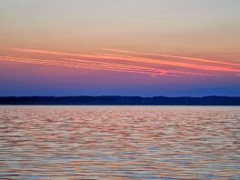 6a03302f-df77-4598-9a97-9b4983eaa2b2