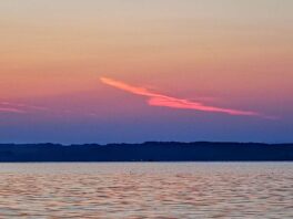 6da32277-ec54-4162-baa8-dcb63f1cea5d