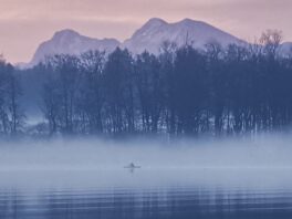 6e258825-b599-4db6-9165-d3770e3c253f