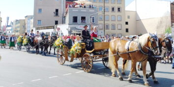 812834f5-6a95-4401-9de9-a7950bb265b3