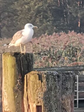 86950017-fd06-4e98-9096-efcf51b06413