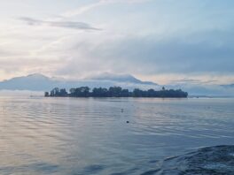 87b223f0-c70c-4d48-aa6d-3c5b3596e74e