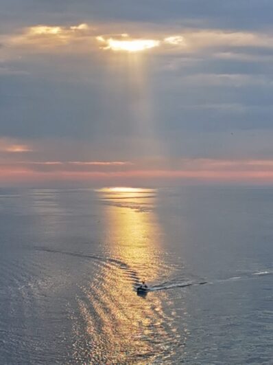 9536001b-741b-426d-a9c8-c6d41d80c58b