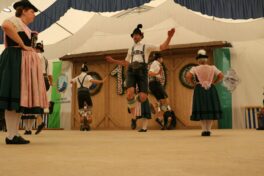 Aschau gaupreisplattln10