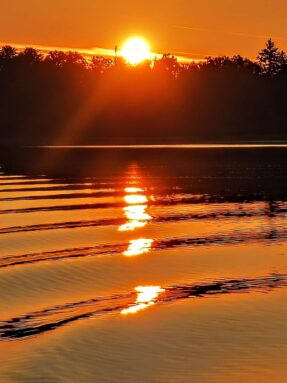 baf16fa7-4081-4e1b-a77c-a2a1a72cfbbc