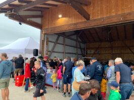 bfdc7b31-f33f-4380-b21b-79e271df3837