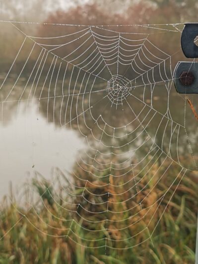 d36679ca-5e43-4d02-a2ba-f08625984971