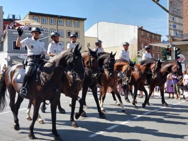 e8b2df60-96c9-4456-a709-a4e3e98cb889