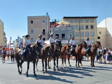 e95e547f-309b-4508-a033-c4388c392aa1