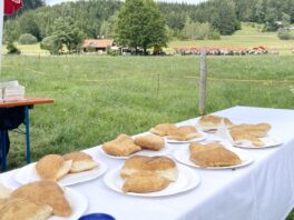 k-1Schmalzgebackenes