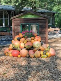 022380d5-2b5e-4606-a762-42780162c86b