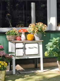 05d0dd1d-0e3c-4b33-b6fa-abb9e3b5c477