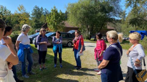 062b8141-c56d-4d85-bd02-9bff5526b5ed