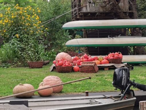 120569da-2d65-4c0a-bd35-252eae67cf6e