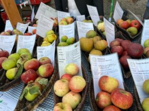 24e80d89-7af6-4fcb-b66d-afcb5d114ba8