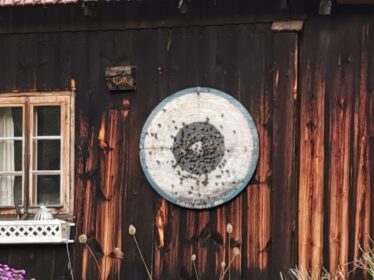 252e76da-0f4f-4acb-86ab-97b3452053da