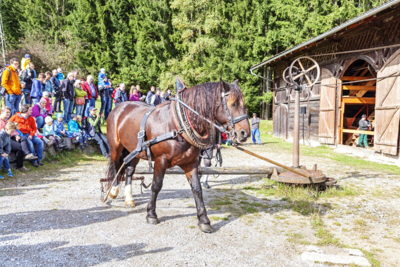 26.9. - FLM_Glentleiten_Bäck_Göpel