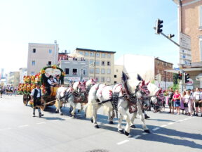 289dc6fa-e6e5-47c8-8a65-442316703ad8