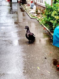 33a01af9-841b-486d-a6d6-e7c55b79c6fc