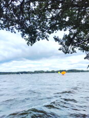 3f236997-5dd8-426f-90c5-95545abd1887