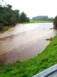 410463e5-0b36-45d4-8694-f0467adf07f7