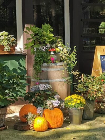 48542479-9698-424e-8cef-4fedc6cc657e