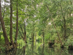 53a0fe25-5e4f-42d8-a7be-5f84b273c865