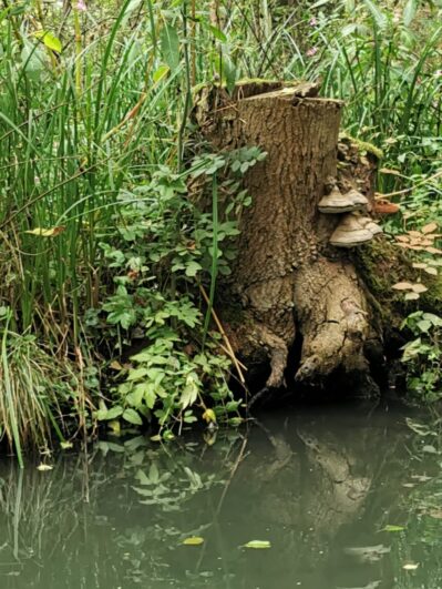 583a9d48-a4f7-49cb-bda9-7e4f7732af8a