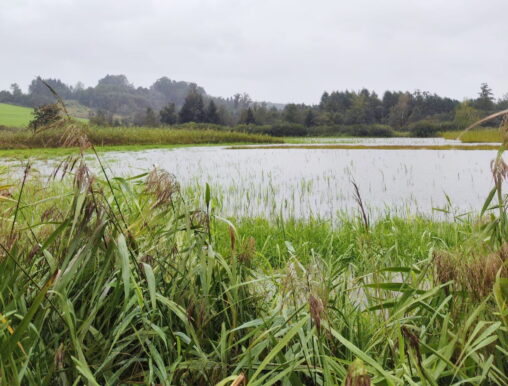 65b30be9-6545-470b-95a7-bac63f5d1264