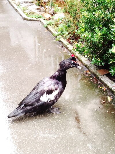 6b88ce2a-7d68-4961-a6ee-cdd6649b34e1