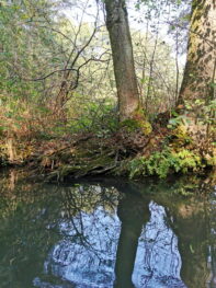 725aa848-eb4c-4390-b6d8-5a553f4ab2d6