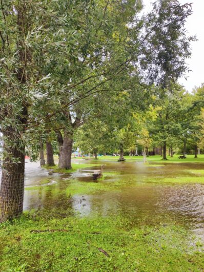 77c852f8-32b2-435b-9b36-8a7588f46b69