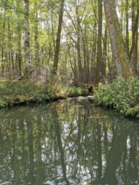 854abcc1-7dfd-488c-bd8e-8c76b4916e8f