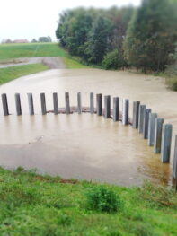 896beb2d-e202-44c1-bb92-98ac5422fc71