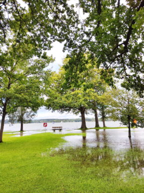 8c57f734-b12d-43e7-806c-aab8c73b81fe