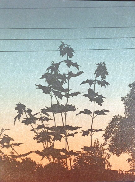 AschauAusstBlättKugels9.24