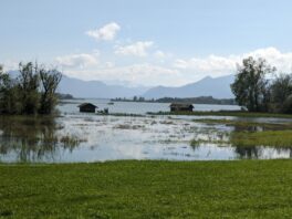 Hochwasser am Chiemsee