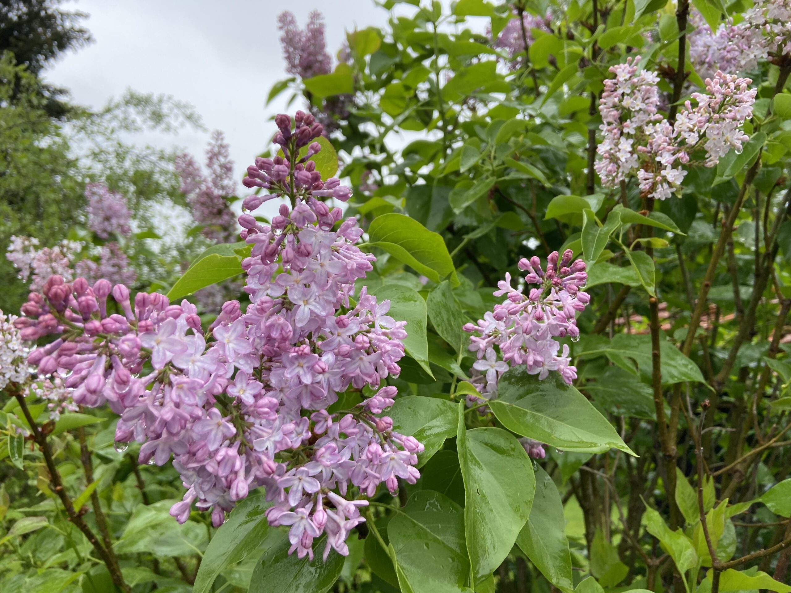 Bayerns-starke-Hilfeleistungen