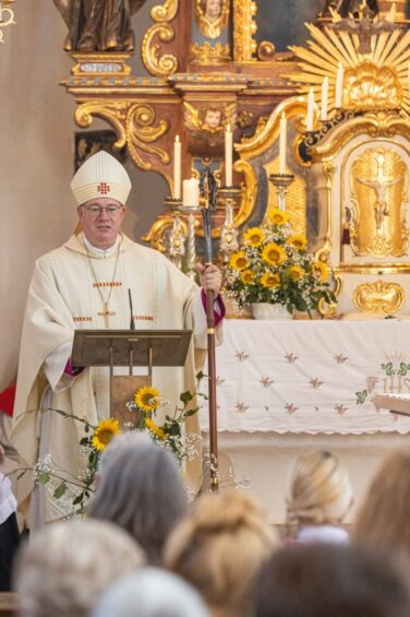 KID24224-220924-6904