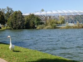 Hochwasser am Chiemsee