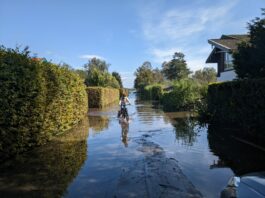 Hochwasser am Chiemsee