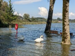 Hochwasser am Chiemsee