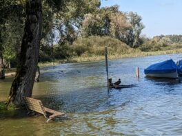 Hochwasser am Chiemsee