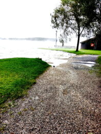 b700fe77-aa24-40a5-a5bf-134b4d505d72