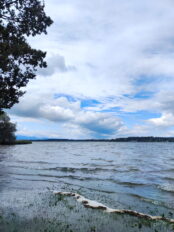 c21f98d3-7065-46a4-93f8-64780025fa47