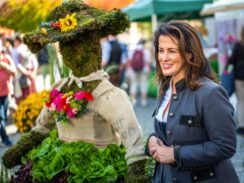 d2930434-2c9c-4d2e-8092-ae86a8c88054