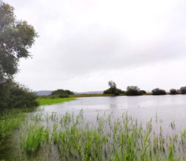 e0520937-bbe4-4921-8fa6-c3717ae2ea71