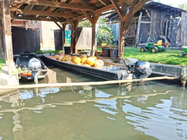 e4dd2230-0442-4400-badb-a1ac3198f019