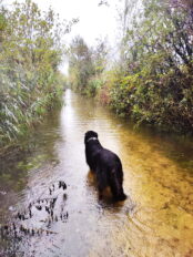 e6197f19-5314-4eef-bfc4-27ec800e0672