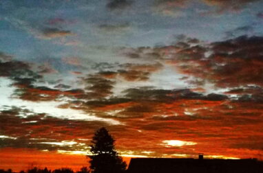 f816be01-8037-4885-88c5-c078d17d63b8